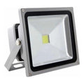 Reflector led de 50w extetior blanco frio 6500k